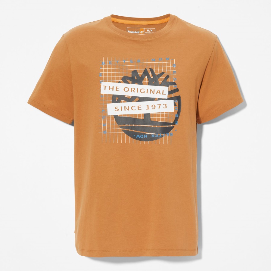 Wheat Timberland Ireland Men's Front-Graphic T-Shirt