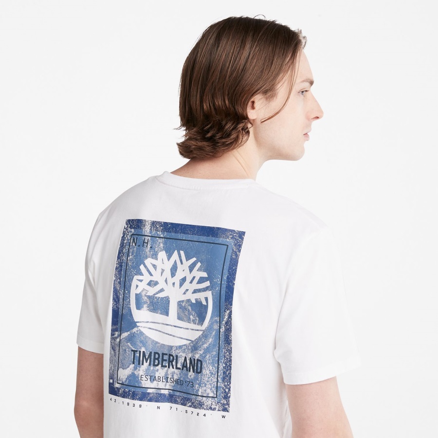 White Men's Back-Graphic T-Shirt Timberland Ireland